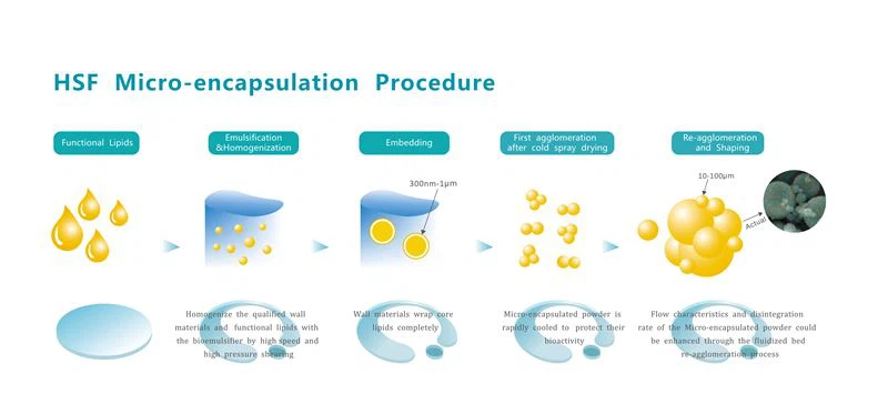 HSF Micro-encapsulation Procedure