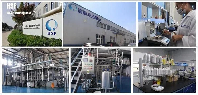 HSF Manufacturing Base HSF Manufacturing Base