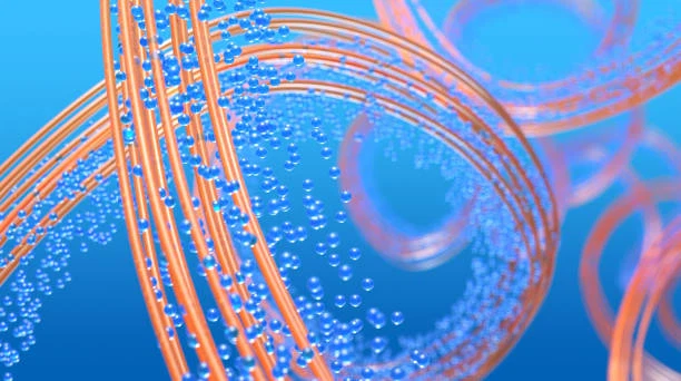 human health human health