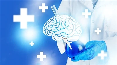 کیا فاسفیٹائڈیلسرین واقعی کام کرتی ہے؟