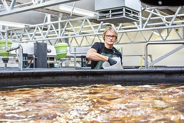 info-612-408 info-612-408