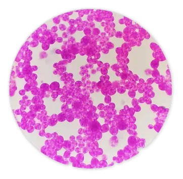 info-362-354 info-362-354