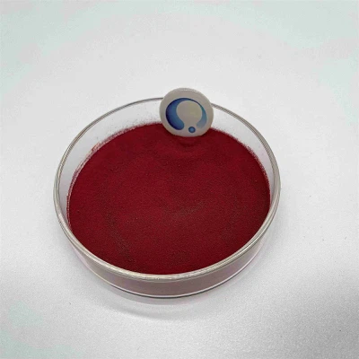 info-2905-2905 info-2905-2905