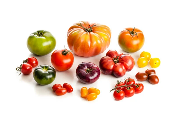 istockphoto-918071884-612x612