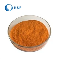 لوٹین سی ڈبلیو ایس