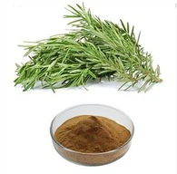 روزمیری ایکسٹریکٹ پاؤڈر