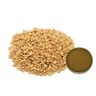 میتھی کے عرق کا پاؤڈر