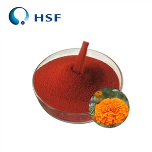 لوٹین ایسٹر پاؤڈر