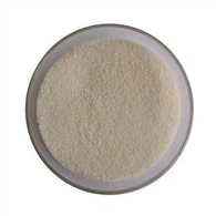 پائن ٹری پلانٹ سٹیرولز